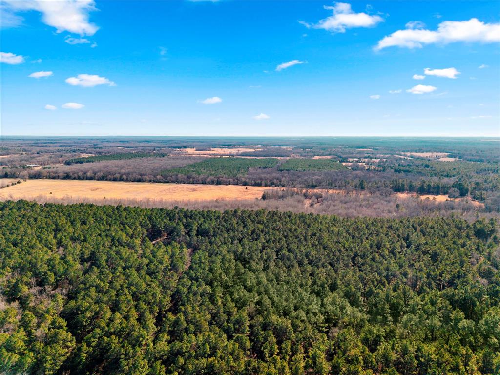 Tbd Cr-4316 Property Photo 10