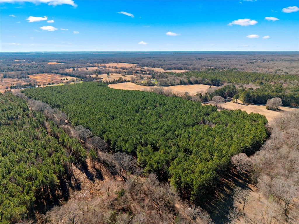 Tbd Cr-4316 Property Photo 13