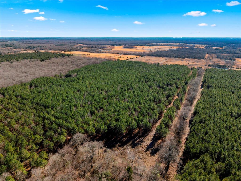 Tbd Cr-4316 Property Photo 14