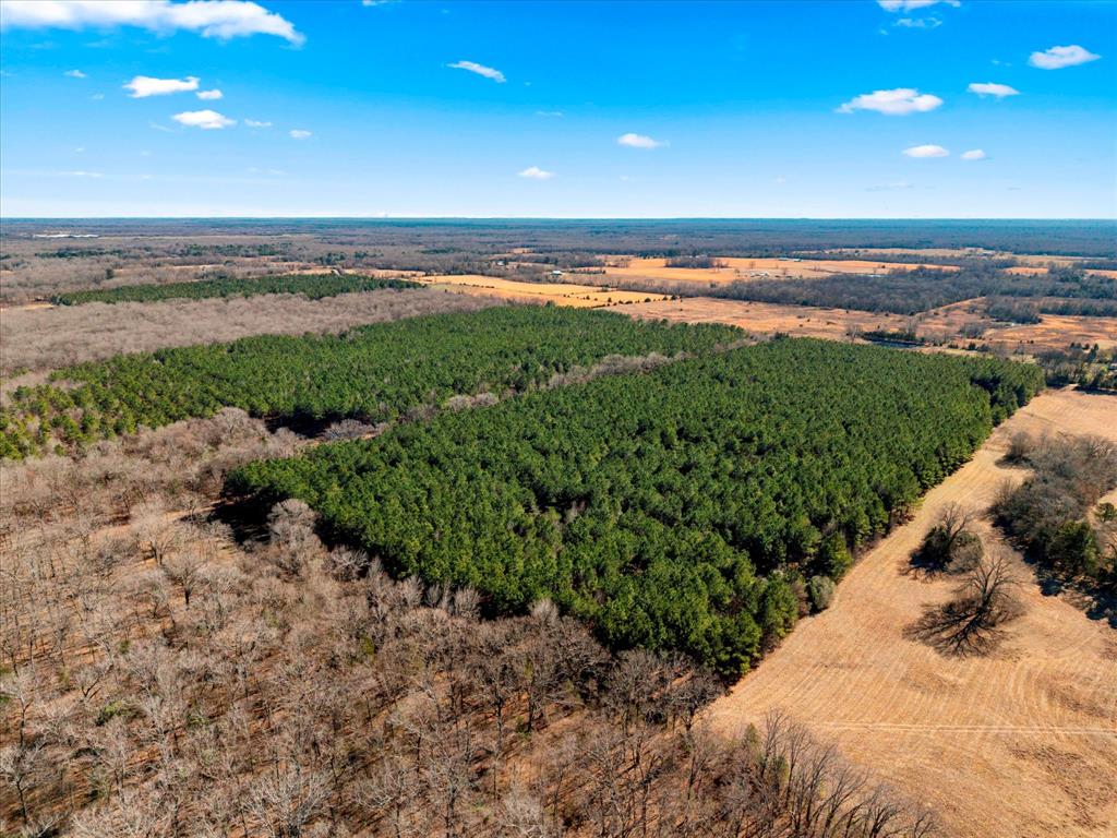 Tbd Cr-4316 Property Photo 16