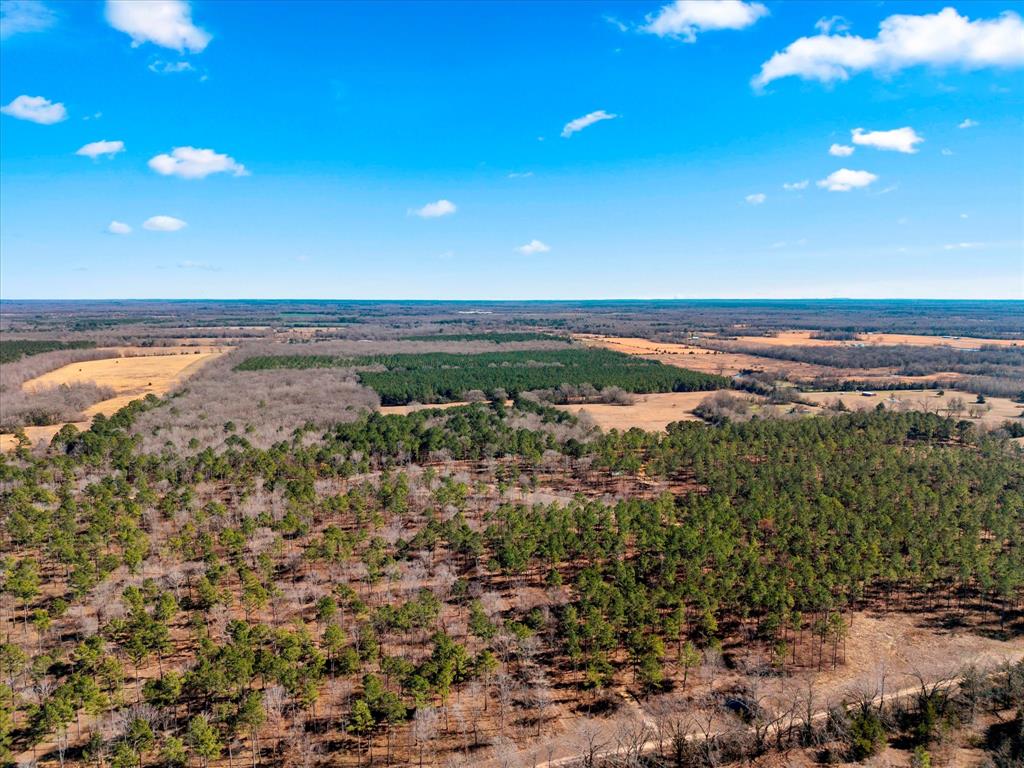 Tbd Cr-4316 Property Photo 17