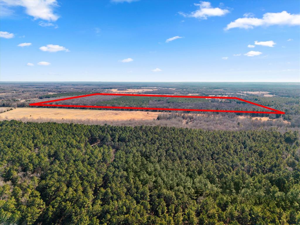 Tbd Cr-4316 Property Photo 35