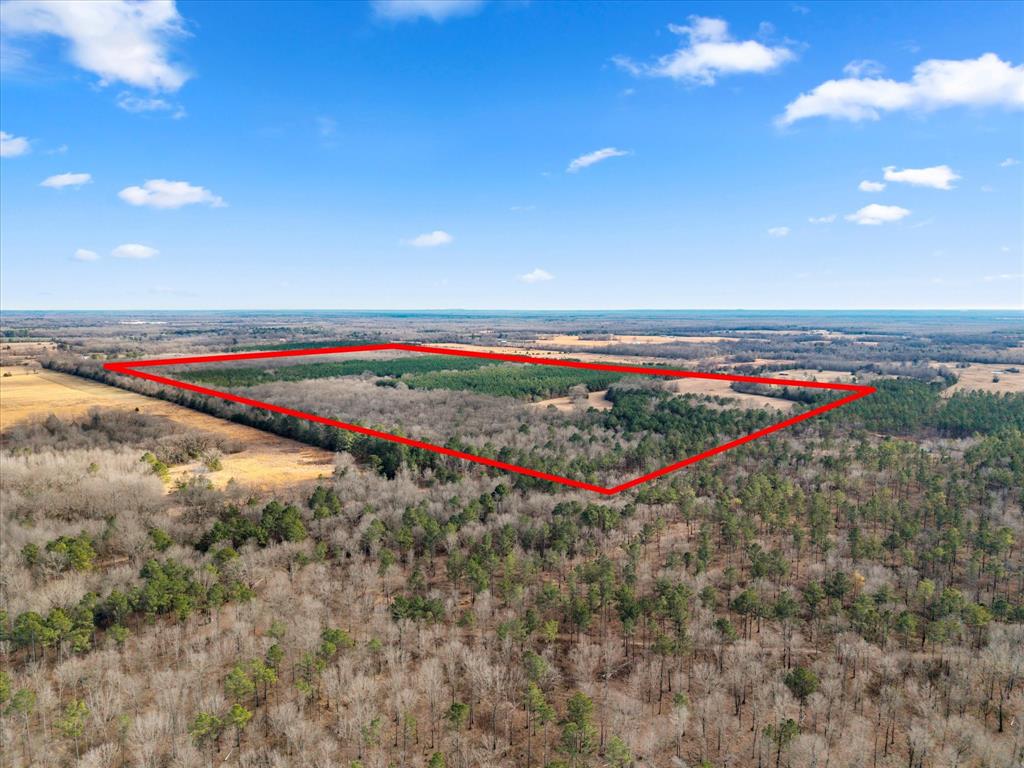 Tbd Cr-4316 Property Photo 37