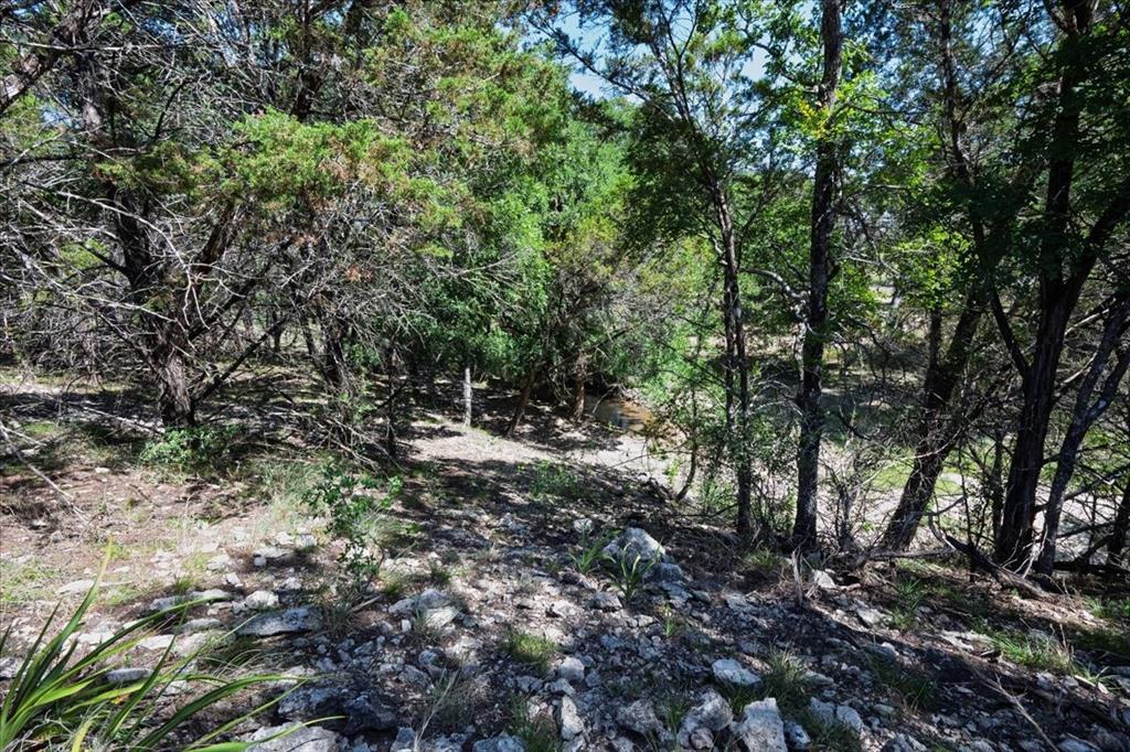 Tract 1 County Road 208 Property Photo 20