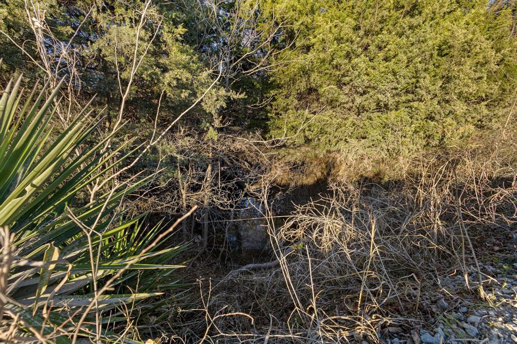 Tbd County Road 4618 Property Photo 34