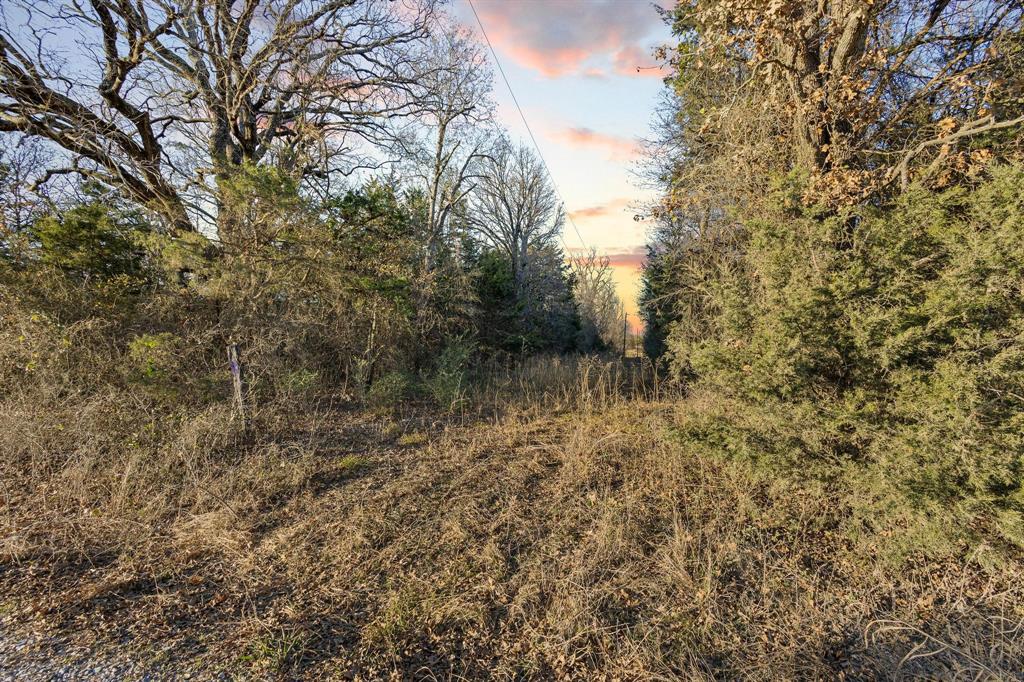 Tbd County Road 4618 Property Photo 39