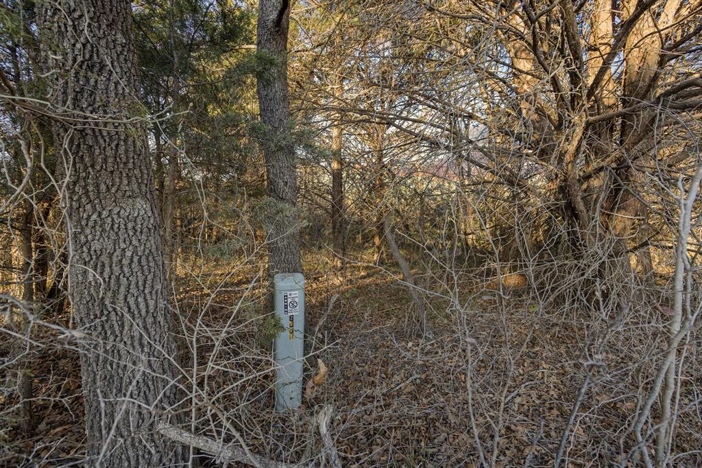 Tbd County Road 4618 Property Photo 40