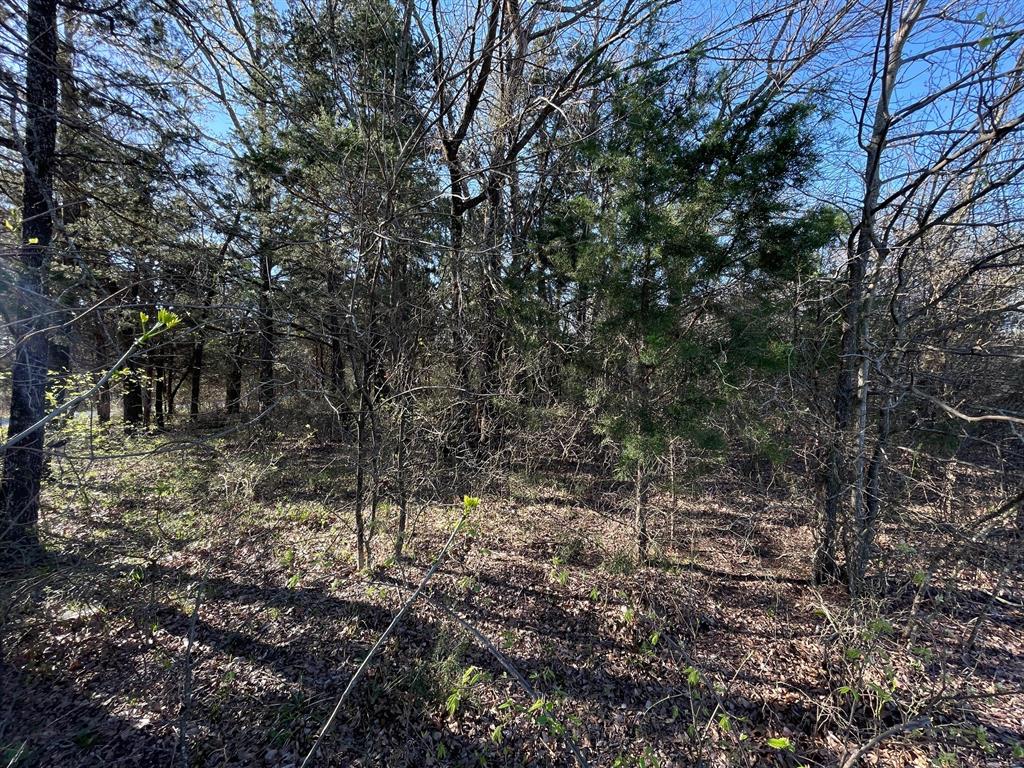 Lots 1b&2b Pronghorn Drive Property Photo 4