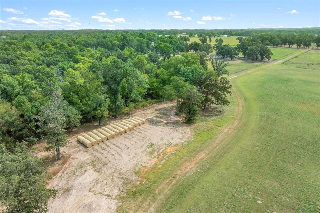 000 County Road 2918 Property Photo 17