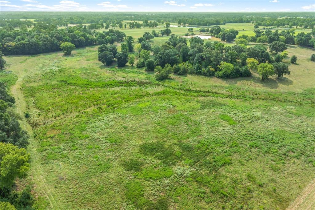 000 County Road 2918 Property Photo 33