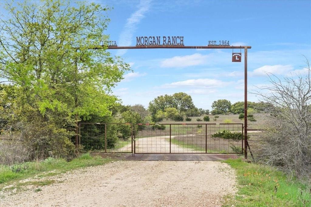 Tbd 252 Acres Dan Morgan Road Property Photo 1