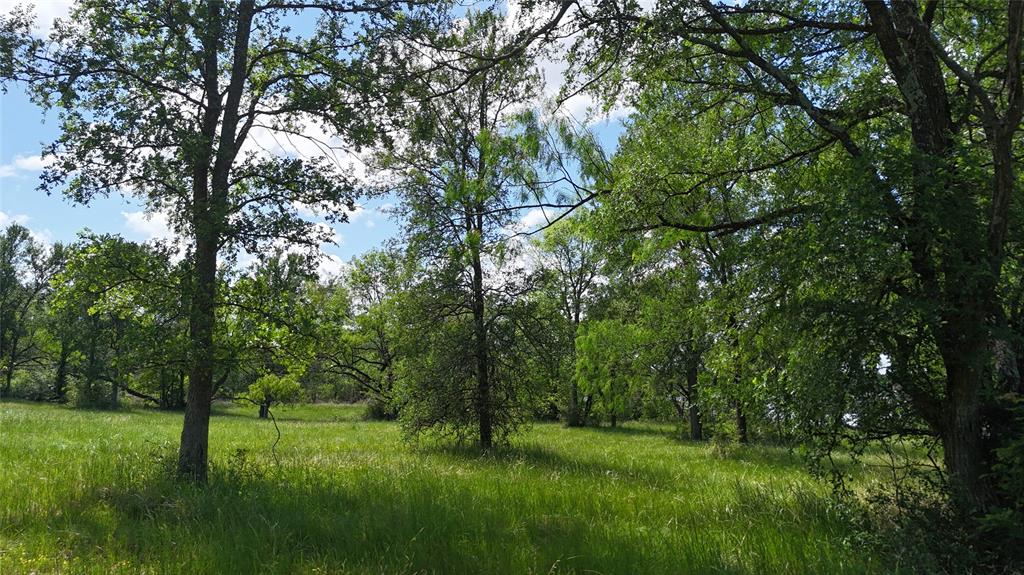Lot 16 Opal Lane Property Photo 14
