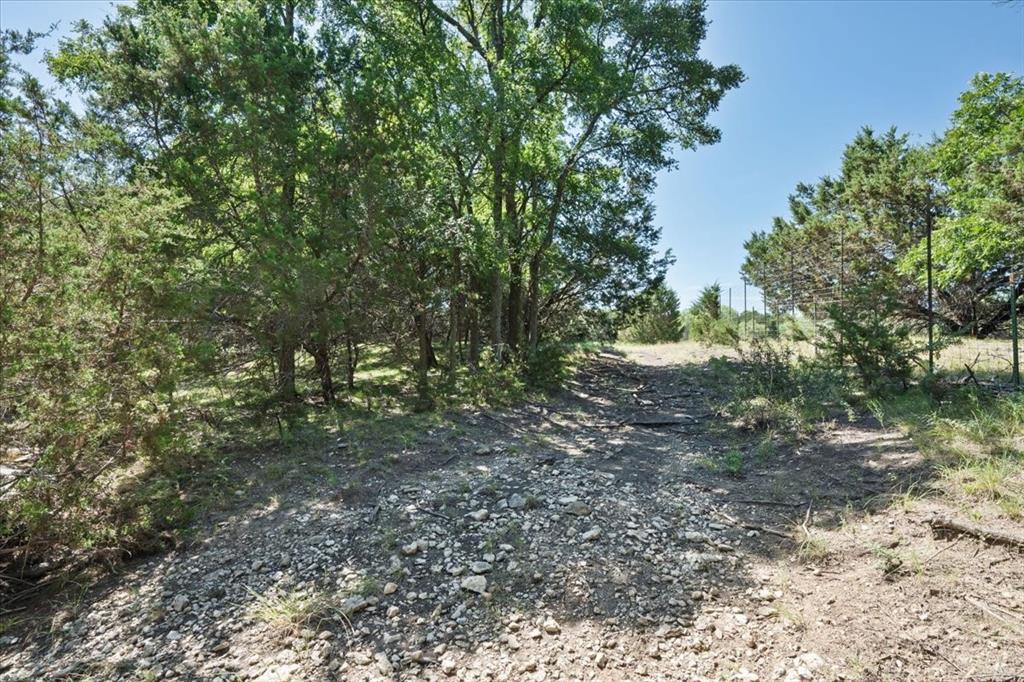 Tract 2 County Road 208 Property Photo 23