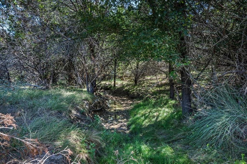 Tract 2 County Road 208 Property Photo 36
