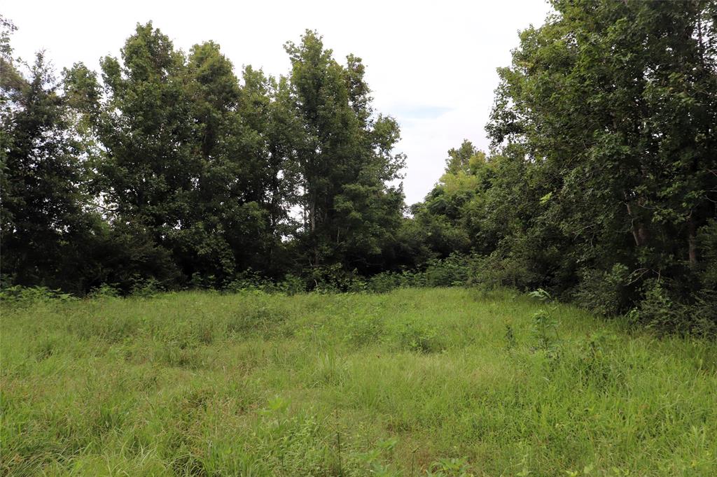 127 County Road 190 Property Photo 2