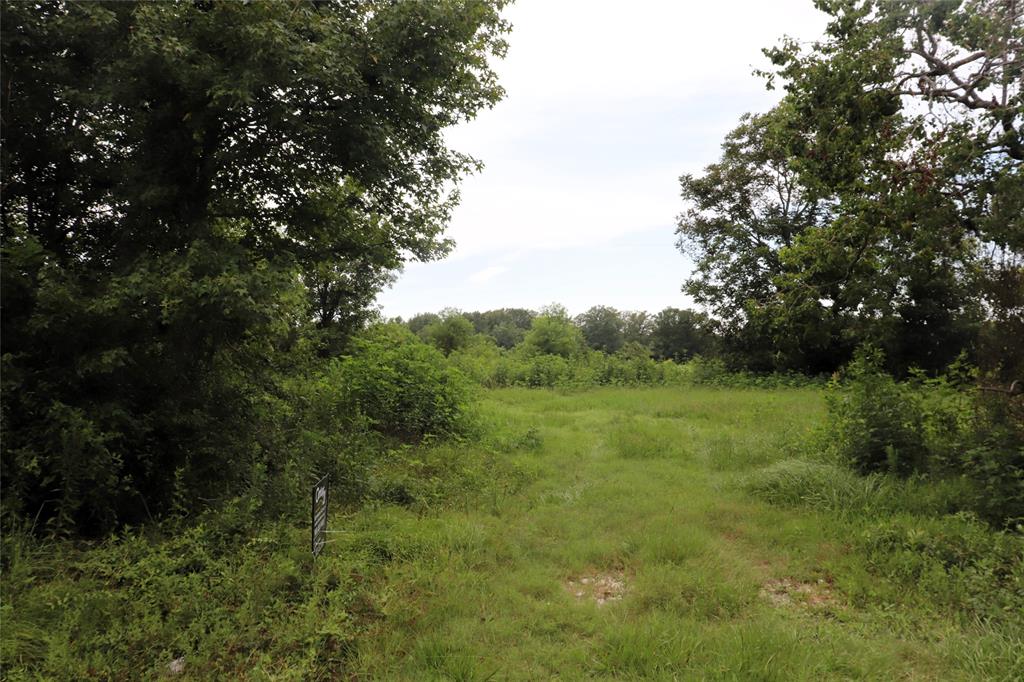 127 County Road 190 Property Photo 3