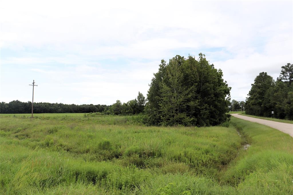 127 County Road 190 Property Photo 4