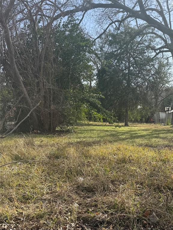 2014 Maple Avenue Property Photo 2