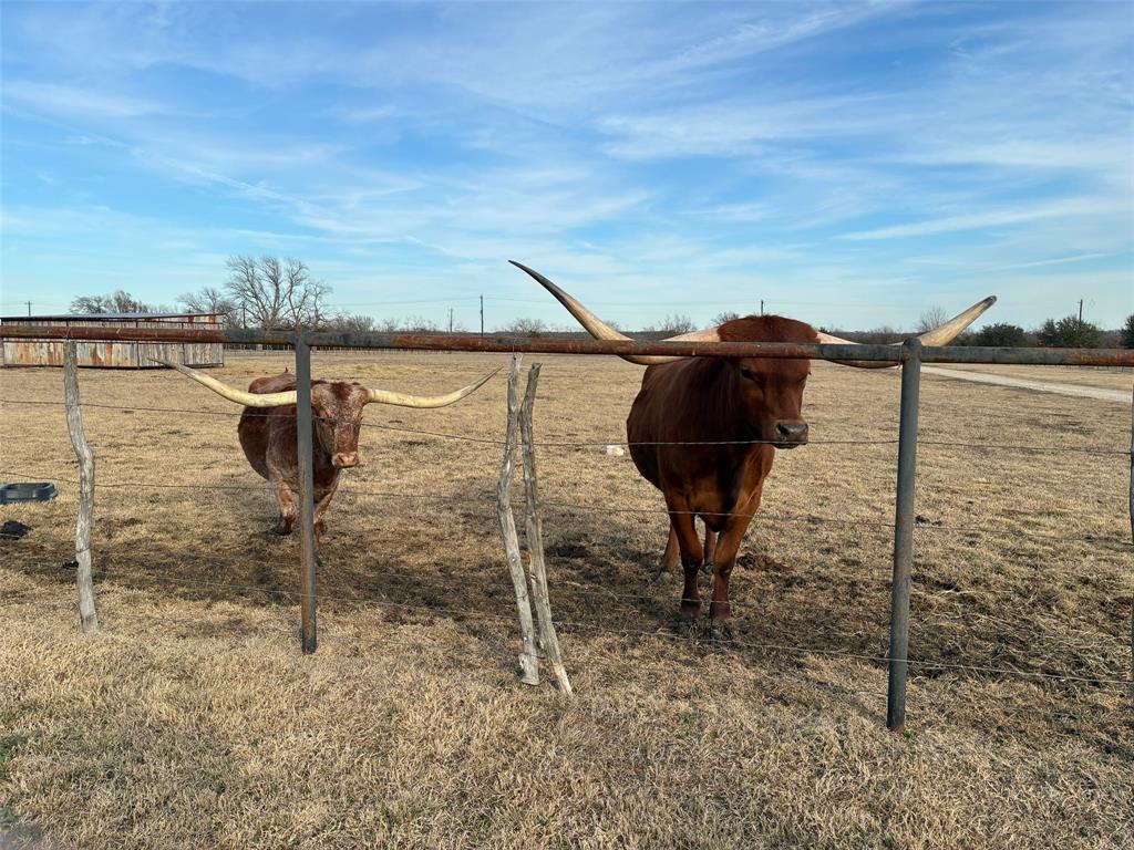 10917 County Road 290