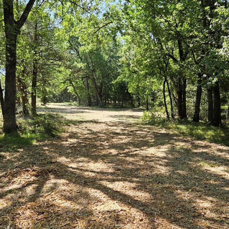 Tbd Tx-154 Property Photo 6