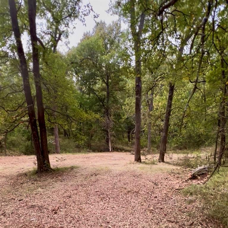 Tbd Tx-154 Property Photo 10