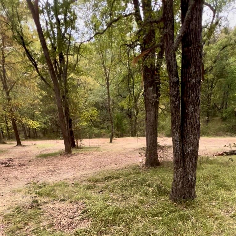 Tbd Tx-154 Property Photo 12