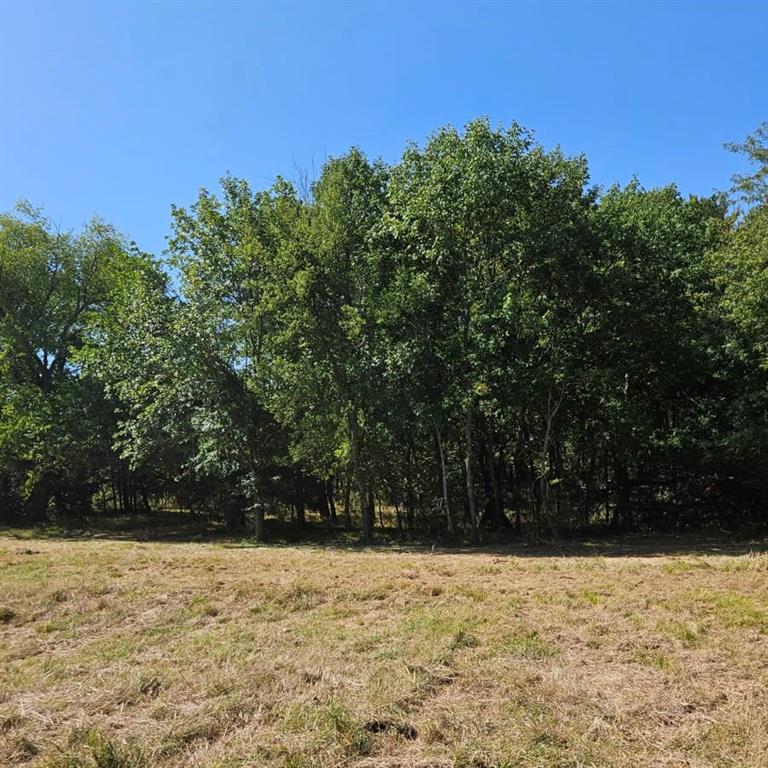 Tbd Tx-154 Property Photo 15