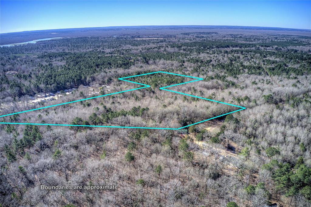 Tbd County Road 3460 Property Photo 1