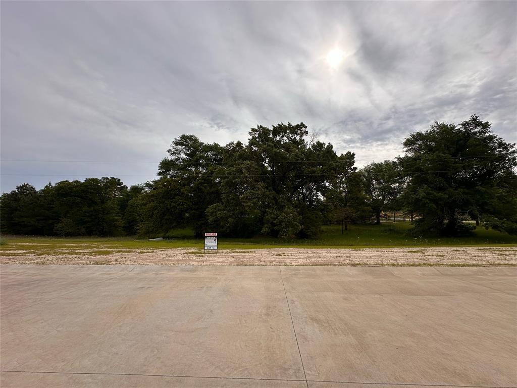 16918 Sawyer Way Property Photo 1
