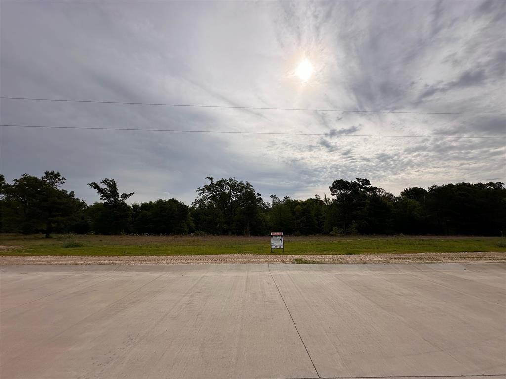 16944 Sawyer Way Property Photo 1