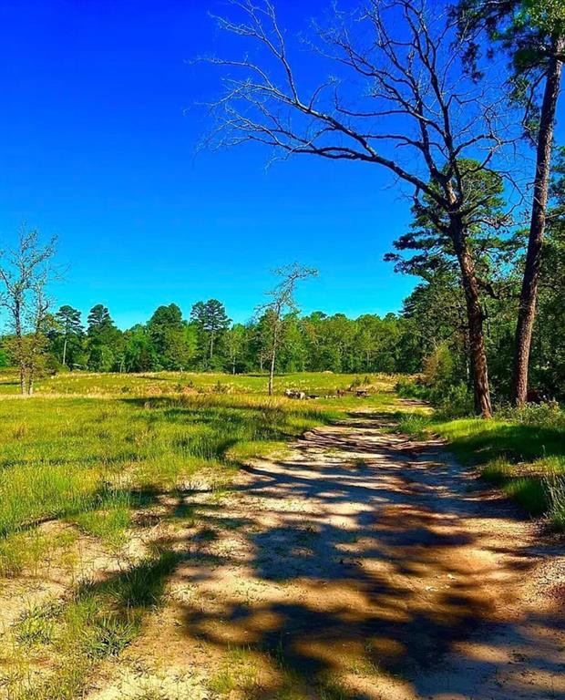 868 County Road 2920 Property Photo 2