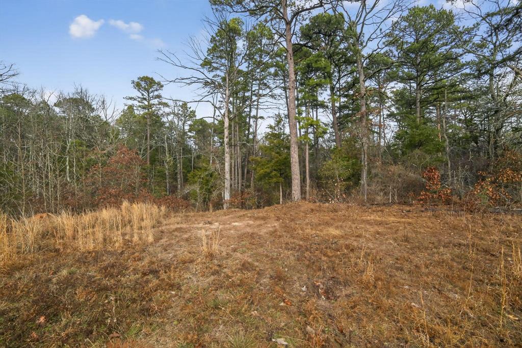 868 County Road 2920 Property Photo 5