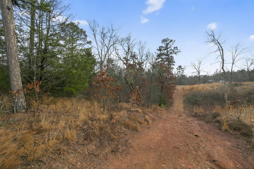 868 County Road 2920 Property Photo 6