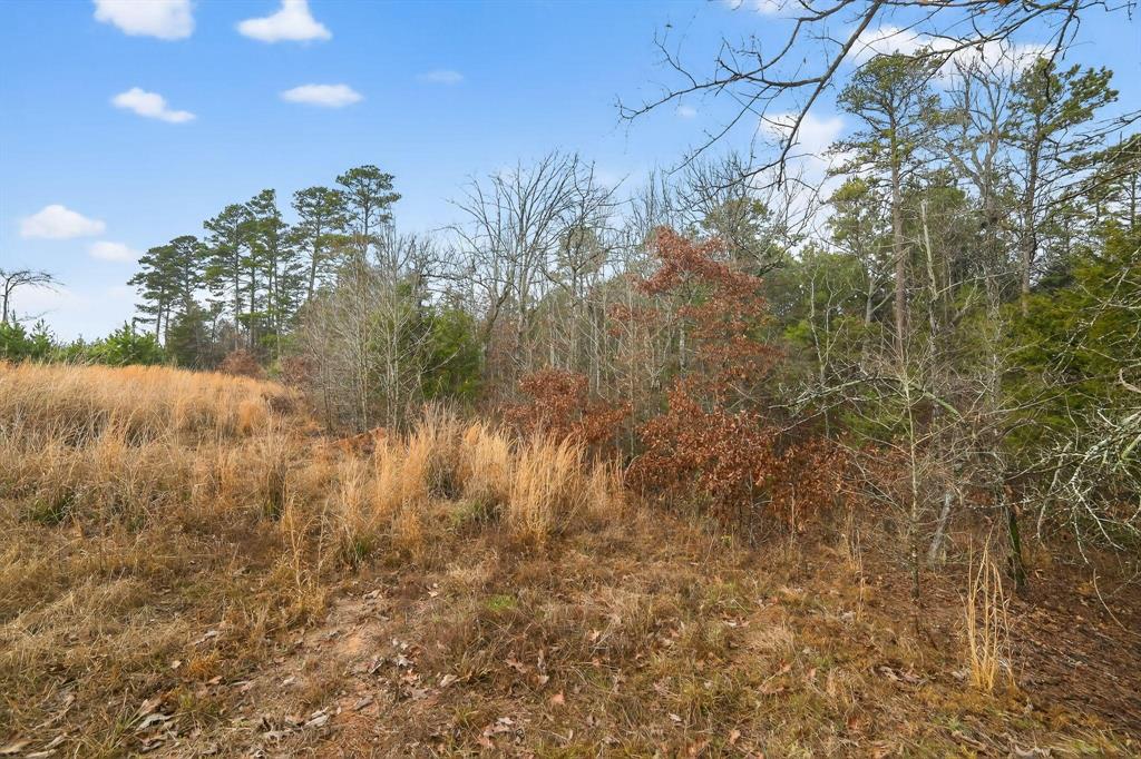 868 County Road 2920 Property Photo 9