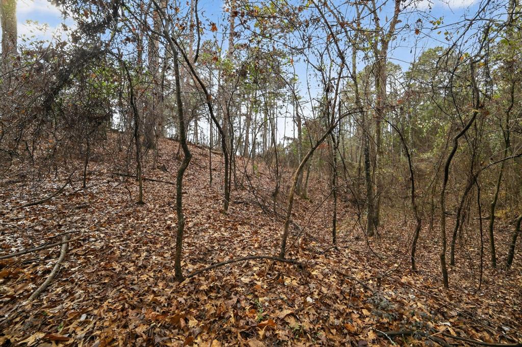 868 County Road 2920 Property Photo 11