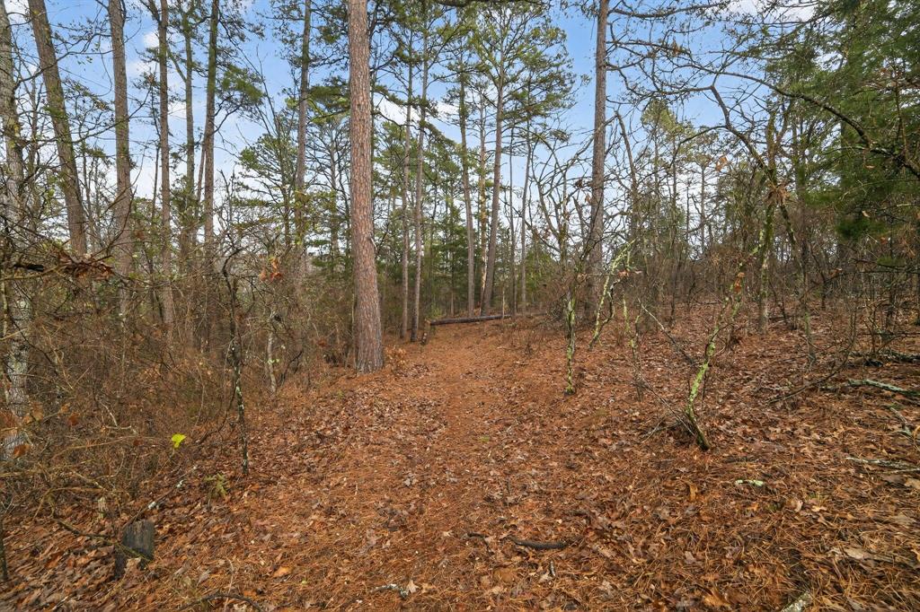 868 County Road 2920 Property Photo 13