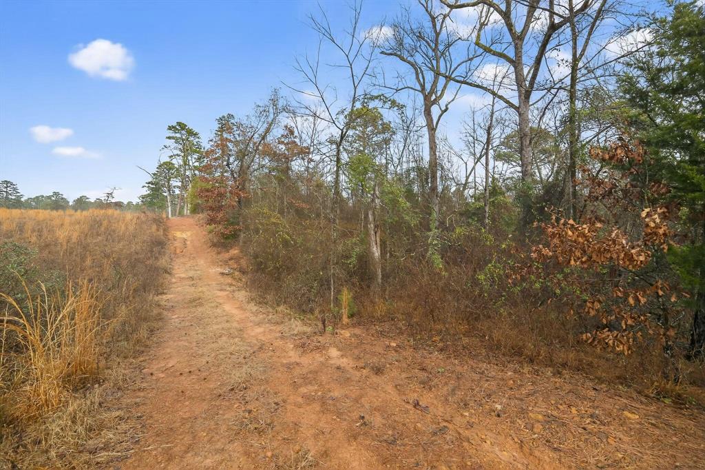 868 County Road 2920 Property Photo 15