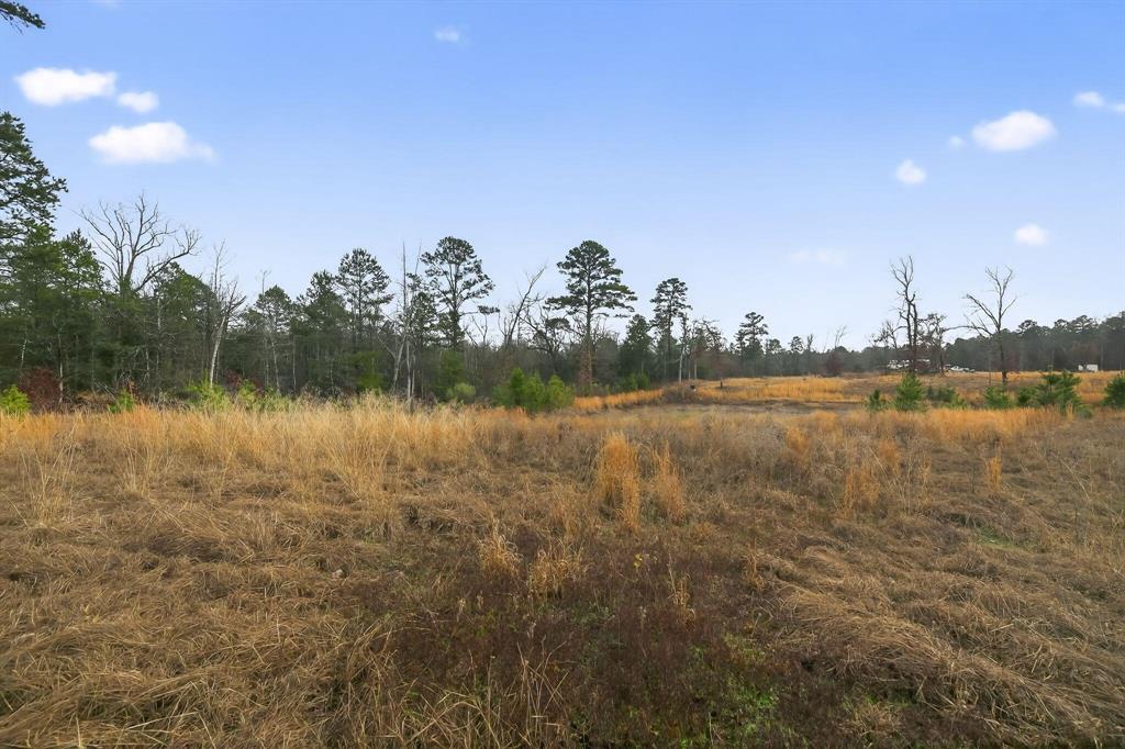 868 County Road 2920 Property Photo 16