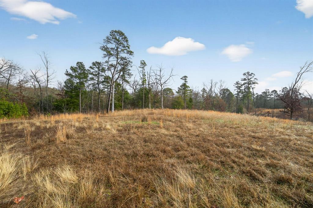 868 County Road 2920 Property Photo 17