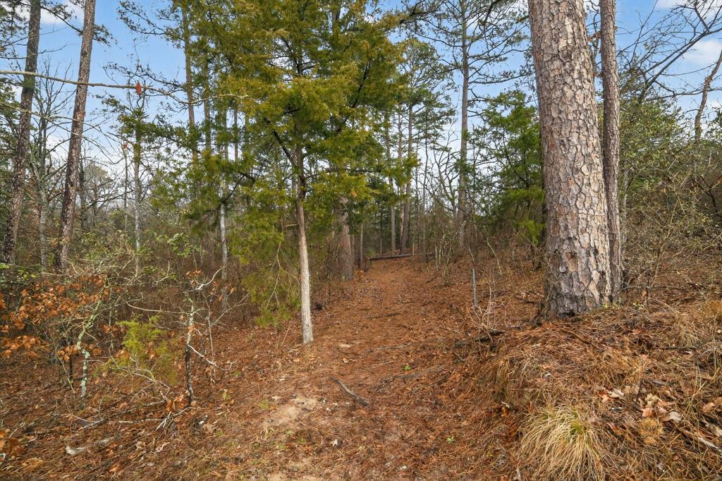 868 County Road 2920 Property Photo 18