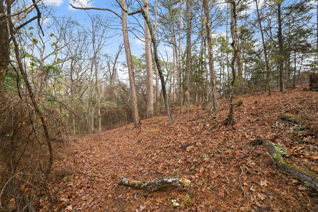 868 County Road 2920 Property Photo 19