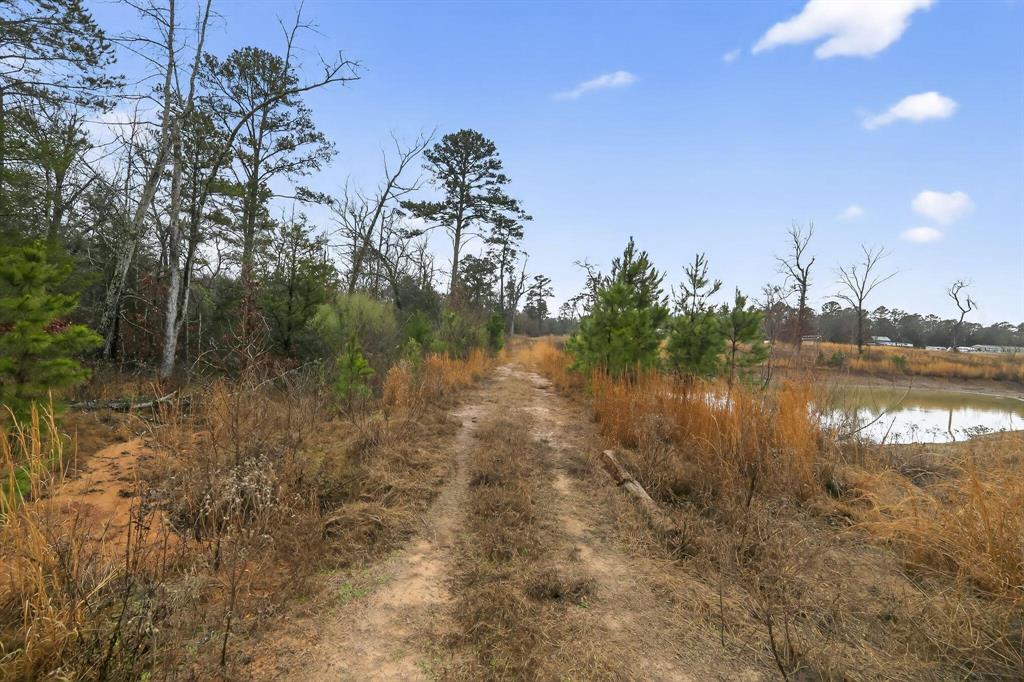 868 County Road 2920 Property Photo 20