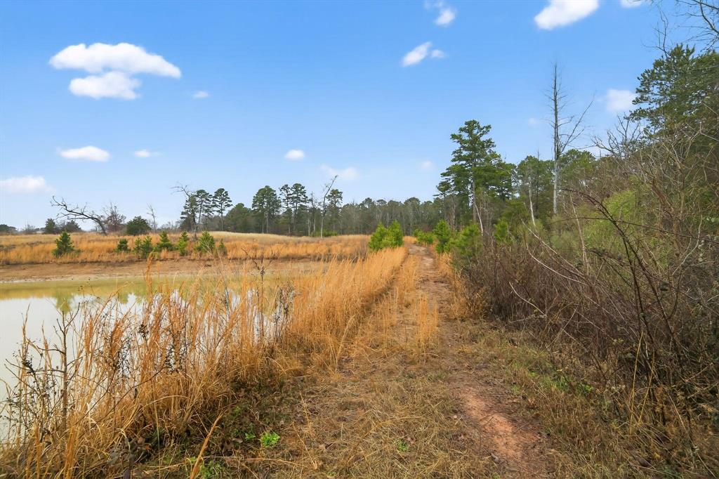 868 County Road 2920 Property Photo 22