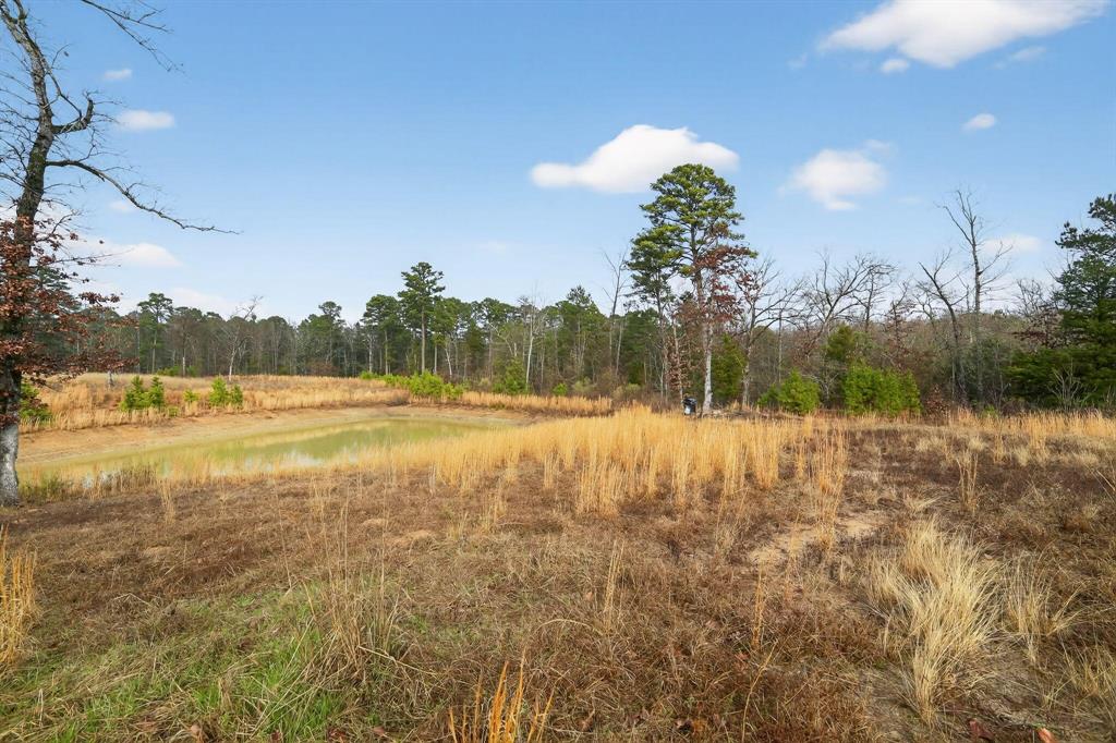 868 County Road 2920 Property Photo 26