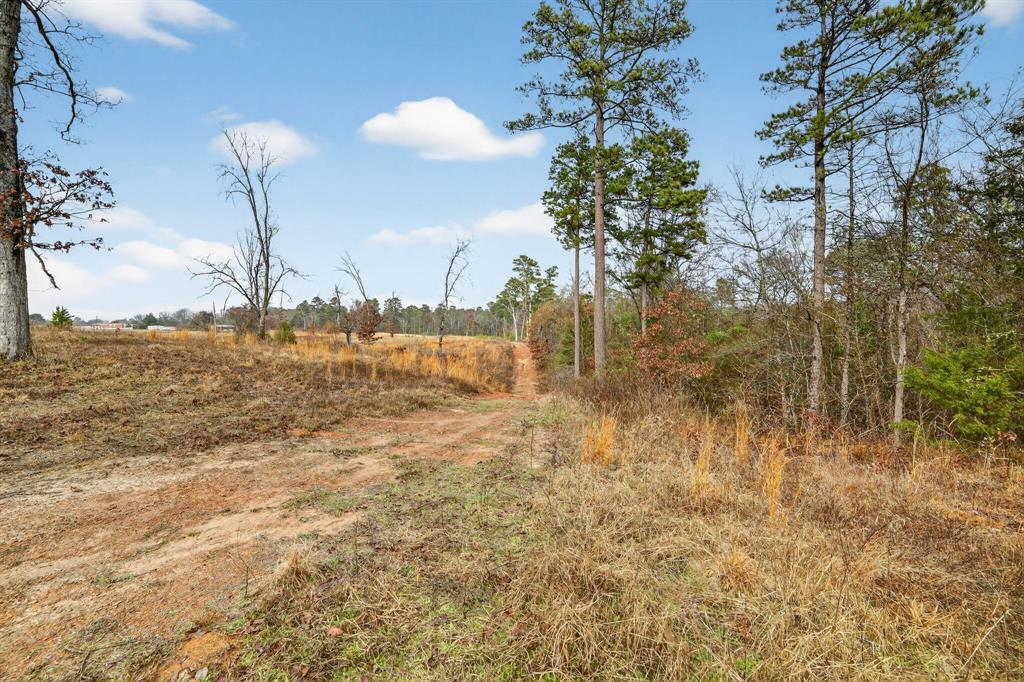 868 County Road 2920 Property Photo 29