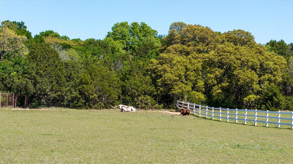 Lot 16 W Hidden Meadow Court Property Photo 7