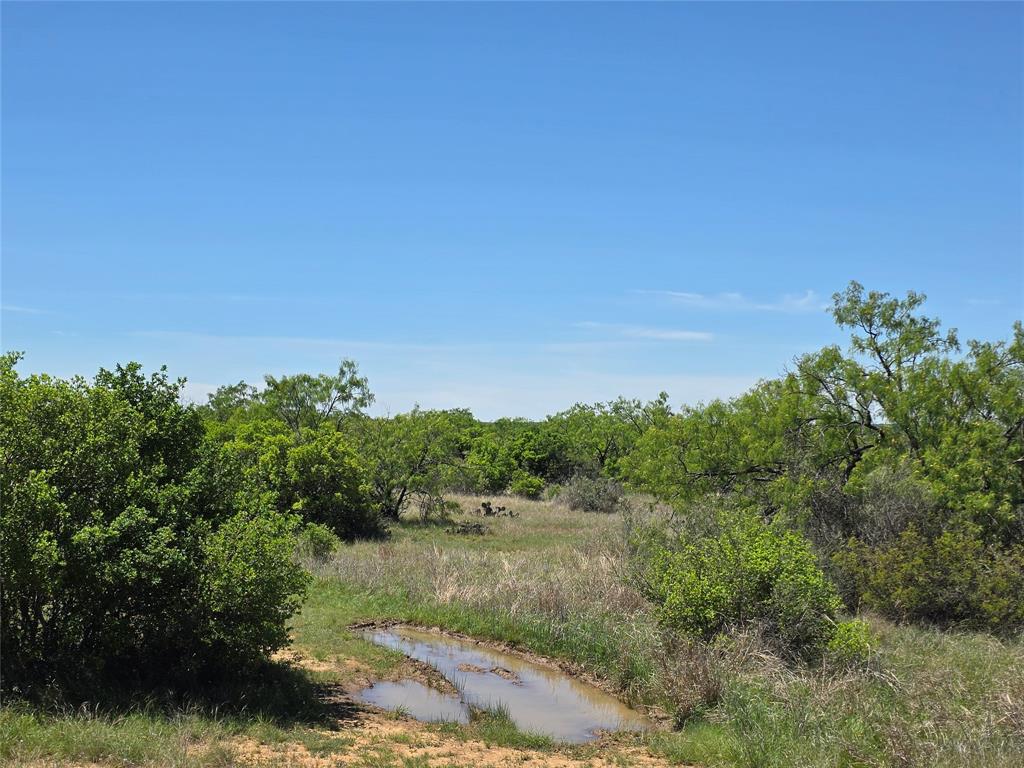 10315 Fm 45 Property Photo 3