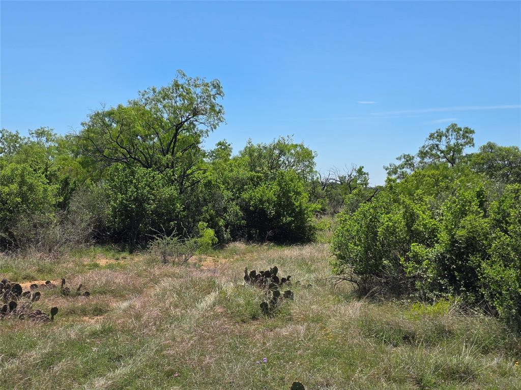 10315 Fm 45 Property Photo 4