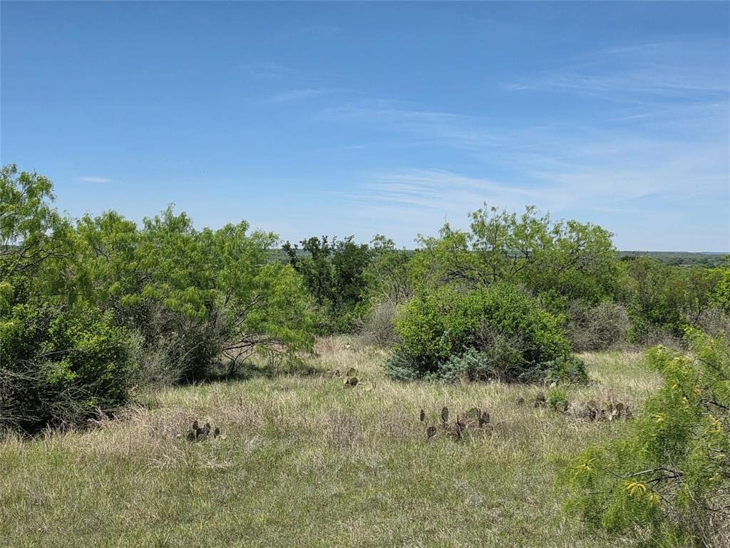 10315 Fm 45 Property Photo 5