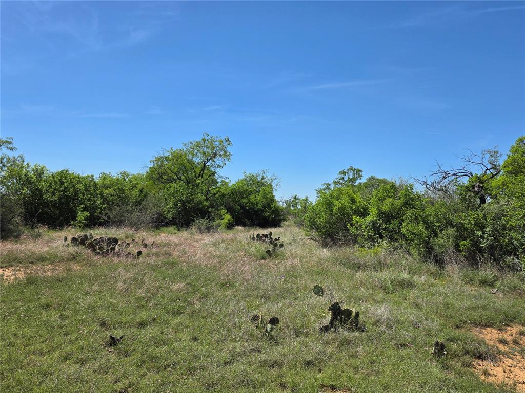 10315 Fm 45 Property Photo 7
